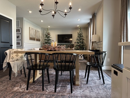 Safavieh Chairs How To Separate Living Room And Dining Room Home