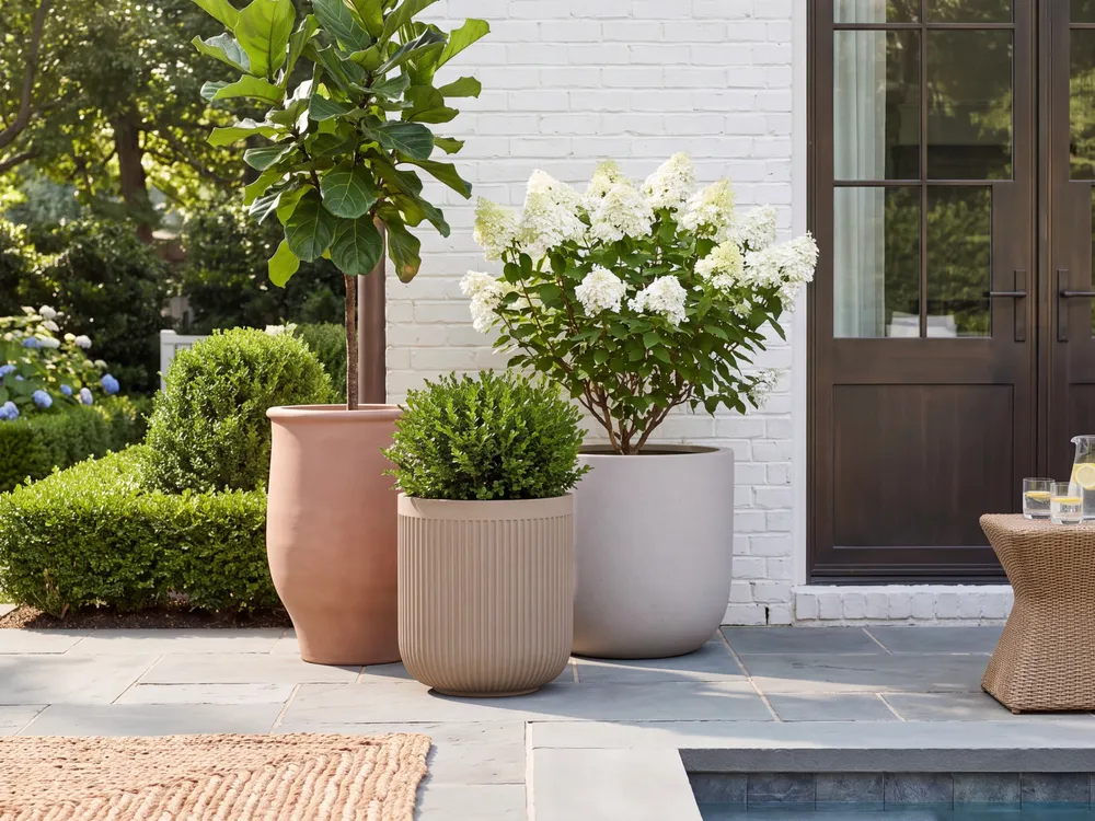 Planters