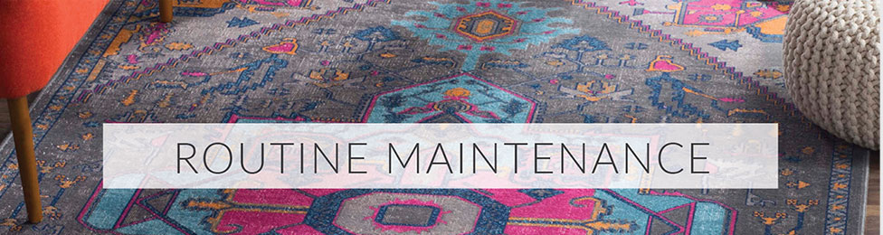 Routine Maintenance