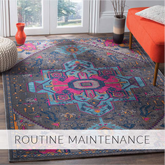 Routine Maintenance